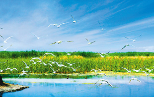 �����غ�